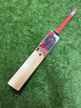 Load image into Gallery viewer, CA Gold 5000 (1)