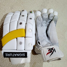 Load image into Gallery viewer, Batting Gloves - Signature Edition
