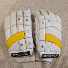 Load image into Gallery viewer, Batting Gloves - Signature Edition
